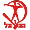 夏普尔霍