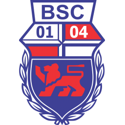 沙夫豪森联